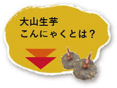 大山生芋こんにゃくとは？